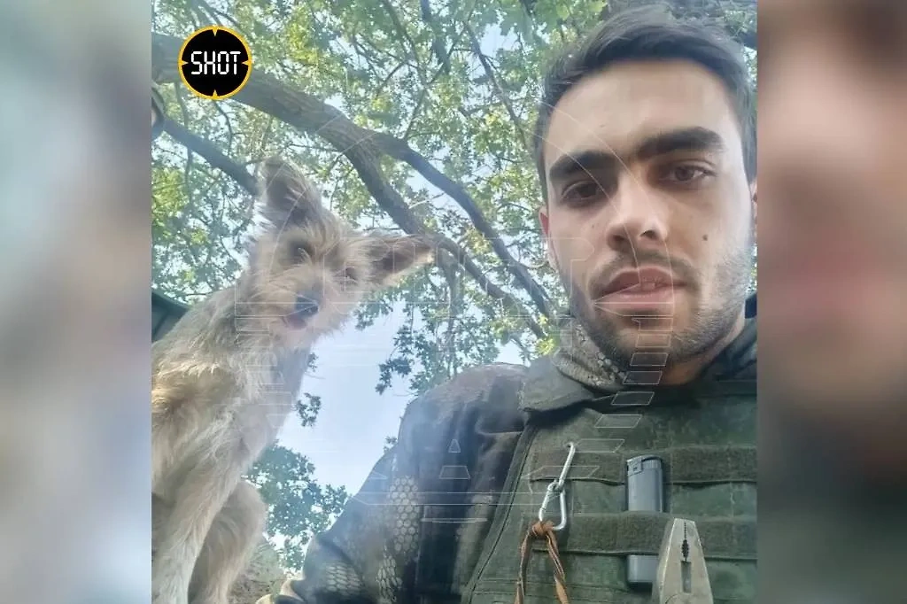 SHOT: Щенок по кличке Пуля стал талисманом раненного в зоне СВО сапёра ...