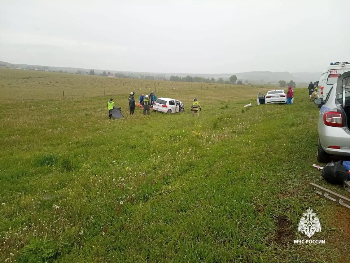 Место ДТП с двумя автомобилями в Башкирии. Видео © Telegram / МЧС Башкортостан