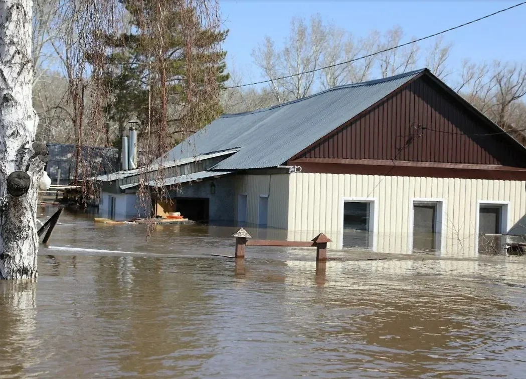 Паводки накрыли Россию. Обложка © Life.ru