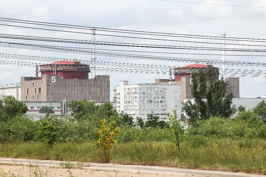 Запорожская АЭС. Обложка © ТАСС / Александр Полегенько