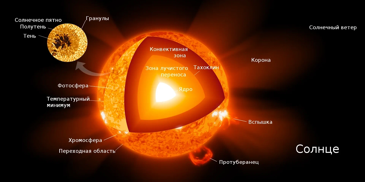 Строение Солнца. Фото © Wikipedia