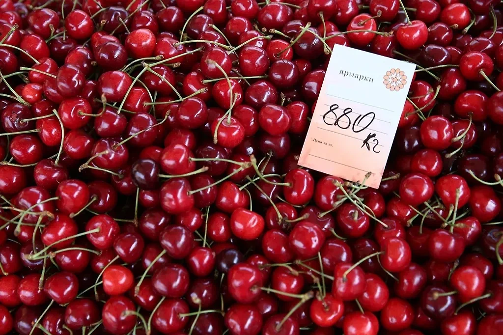 Из-за недостатка ягод взлетели цены на отечественный продукт. Фото © ТАСС / Дмитрий Феоктистов