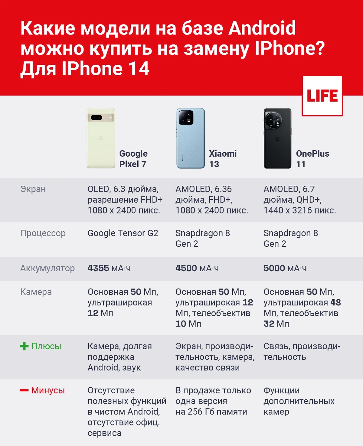 Инфографика © Life.ru