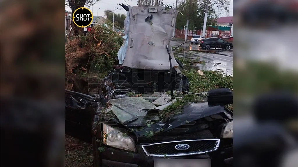 Автомобиль, который придавило деревом в Черкесске. Фото © SHOT
