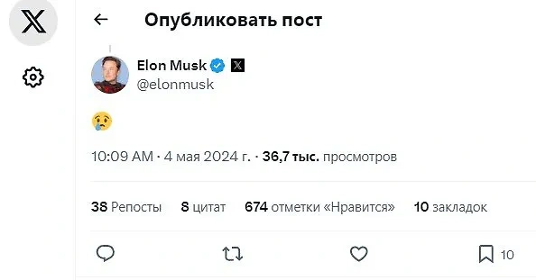 Комментарий Илона Маска. Фото © X / Elon Musk