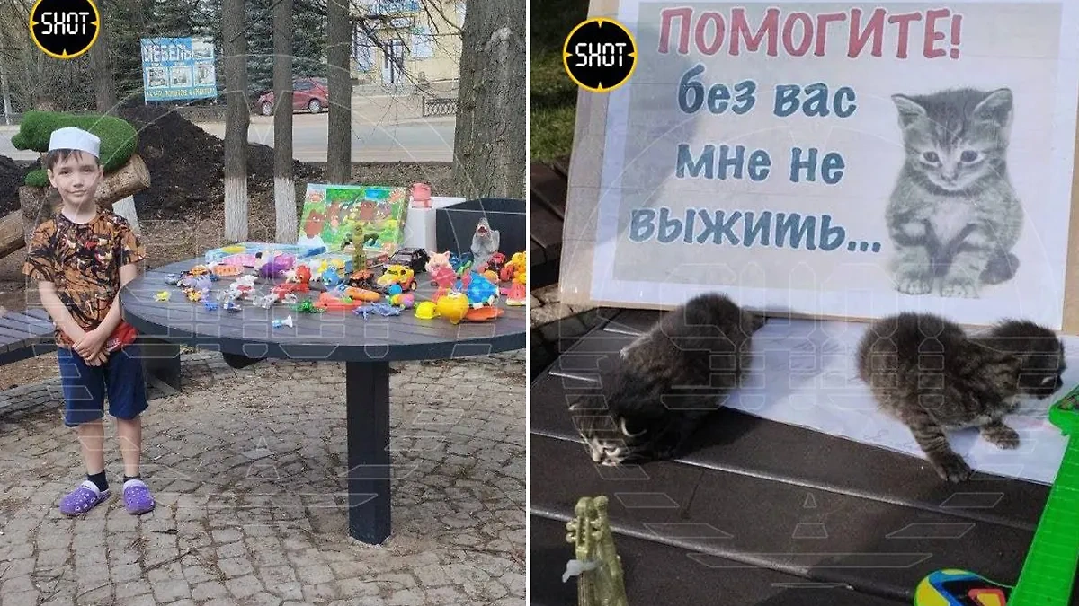 9-летний мальчик из Башкортостана продаёт игрушки, чтобы покупать еду бездомным животным. Фото © Telegram / SHOT 
