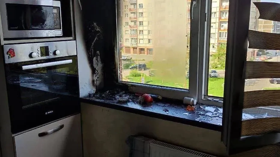 В Калининградской области ваза стала причиной пожара. Обложка © Telegram / МЧС России