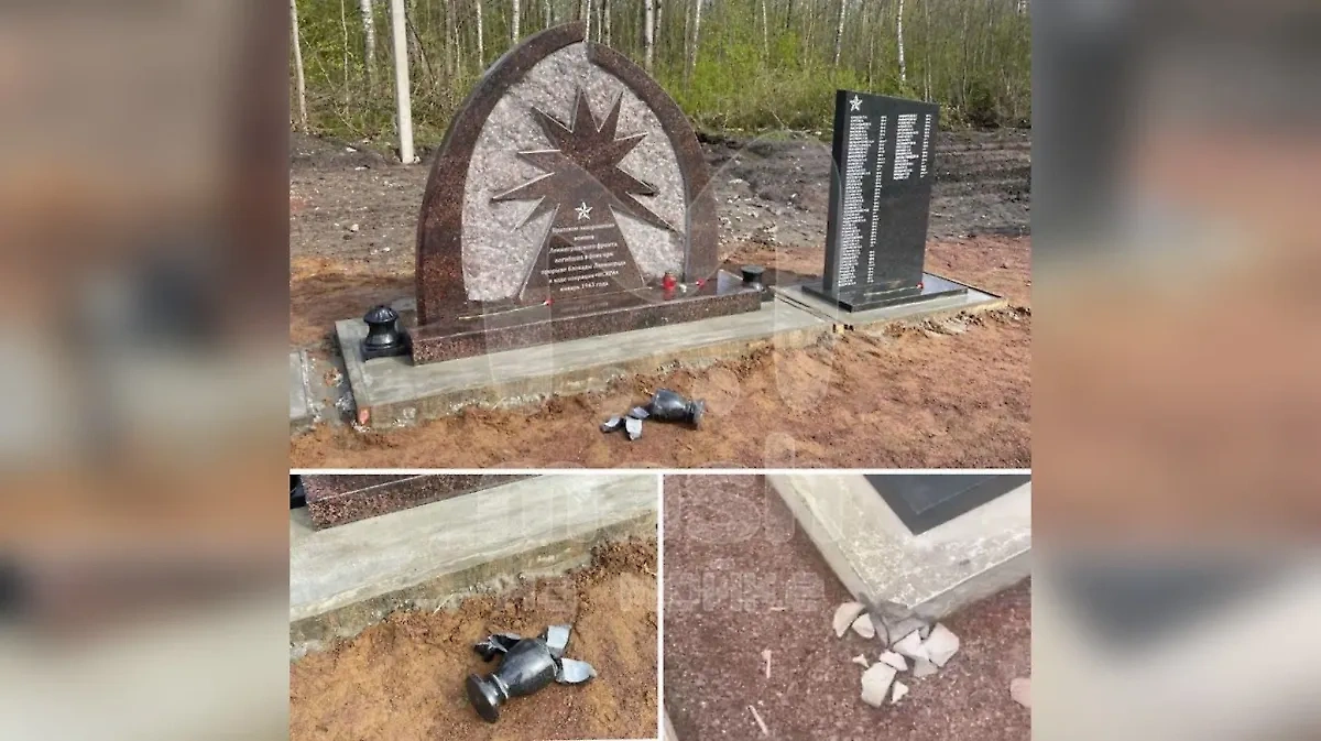 Неизвестные осквернили мемориал "Погибшим бойцам" в лесу под Петербургом. Обложка © Telegram / Mash на Мойке