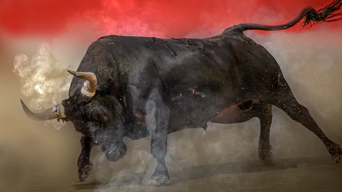 Почему женщине снится бык? Что значит, если во сне быки с рогами? Как толковать сон с разъярённым быком? Фото © Shutterstock / FOTODOM