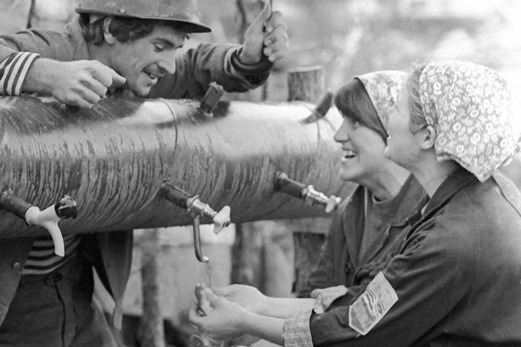 Моющее хозяйственное мыло СССР защищало ногти садоводов от грязи. Фото © ТАСС / Игорь Сабадаш