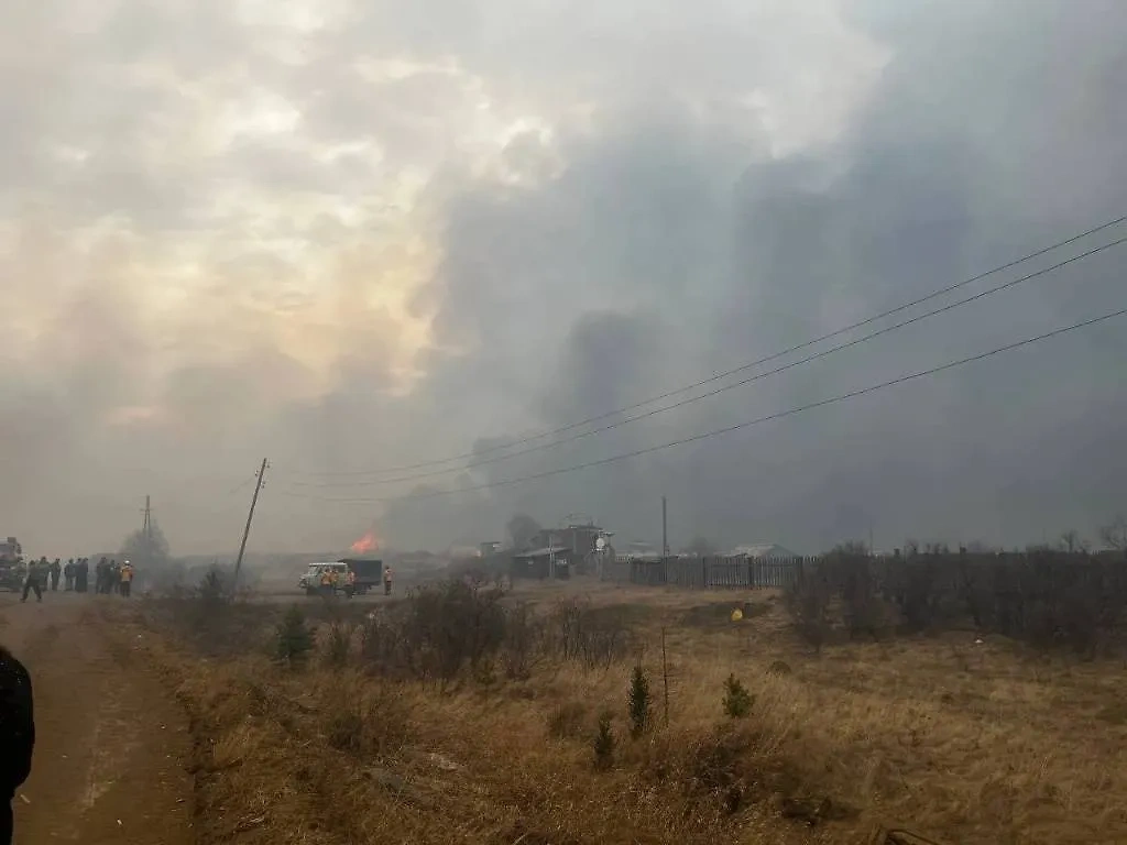 Пожар в СНТ под Иркутском. Обложка © Telegram / #кобзевнасвязи