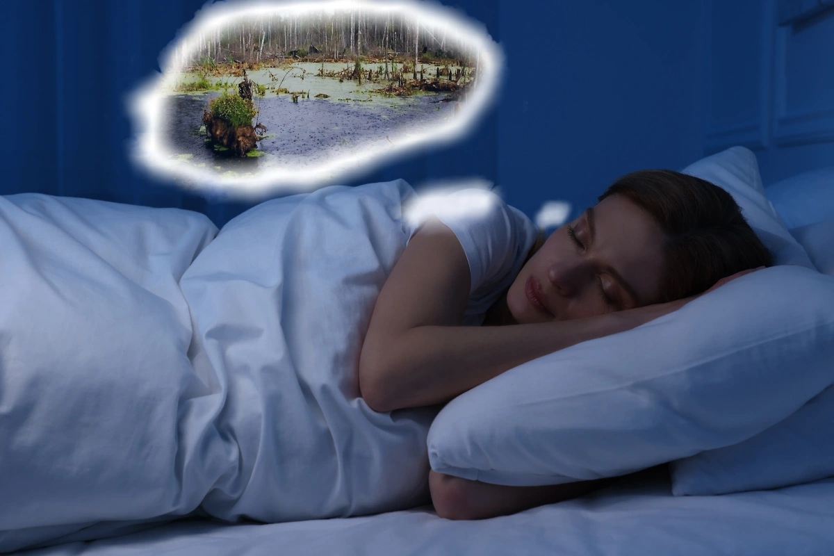 К чему снится болото девушке? Что значит тонуть в болоте во сне? Фото © Shutterstock / FOTODOM