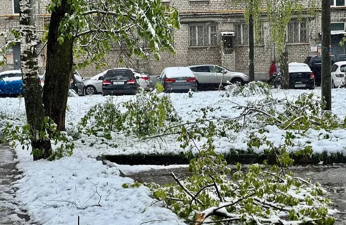 Майский снегопад в Нижнем Новгороде. Обложка © VK / "Открытый Нижний"