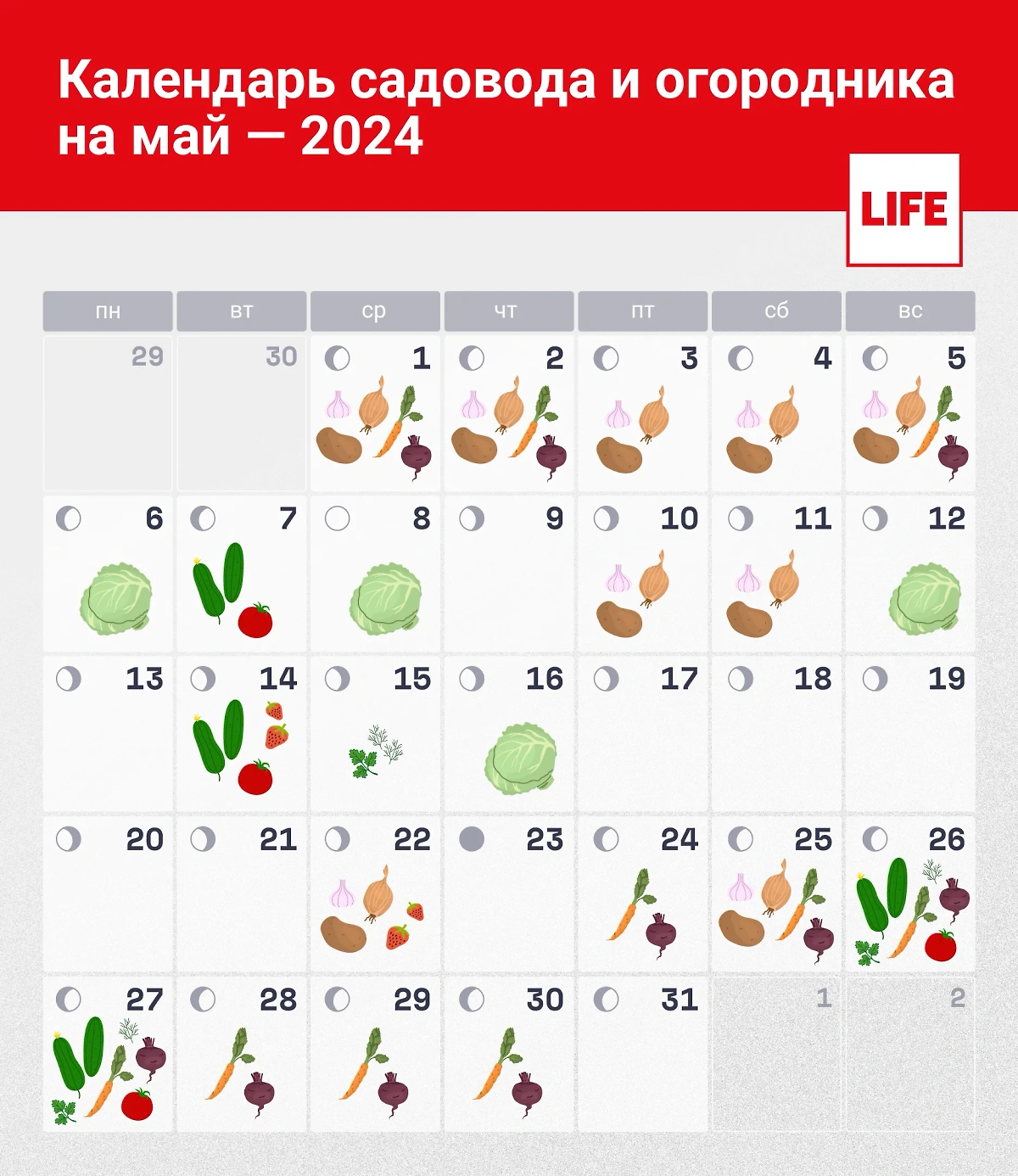 Календарь садовода и огородника на май. Инфографика © Life.ru 