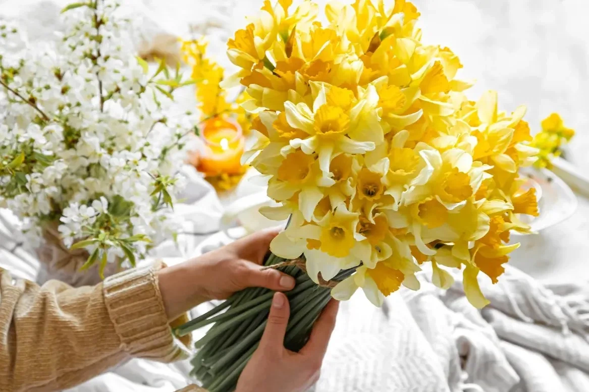 Жёлтые цветы несут в себе мёртвую энергетику, и их дарить тоже нельзя. Фото © Freepik / pvproductions