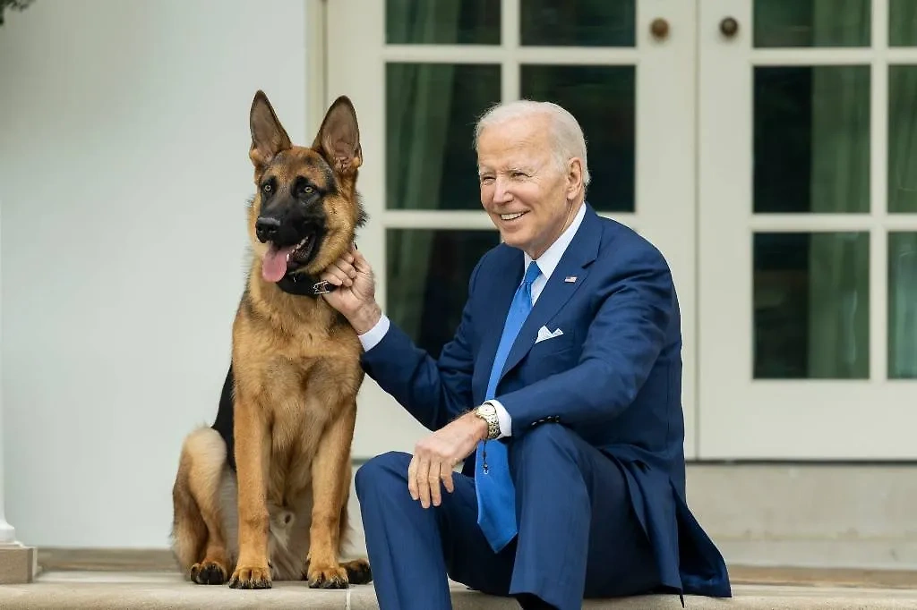 Джо Байден и его пёс по кличке Коммандер. Обложка © Flickr / The White House