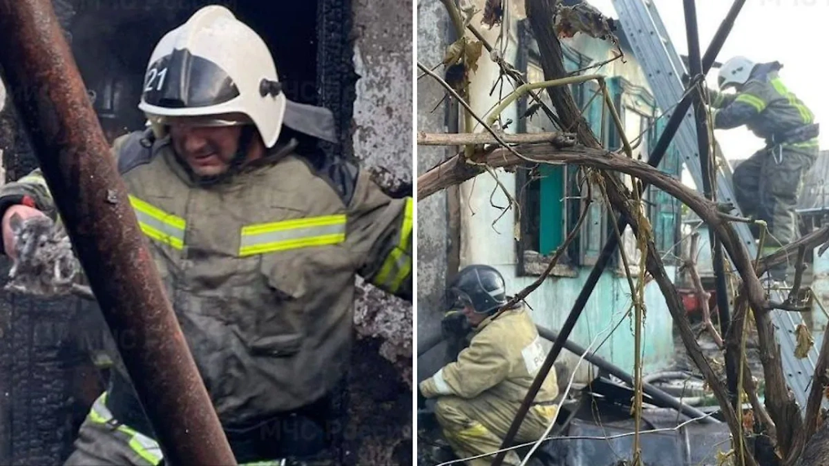 Пожарные спасли семью шиншилл из горящего дома на Кубани. Фото © Telegram / МЧС России 