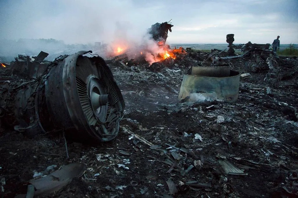На месте крушения самолёта Boeing 777 в Донецкой области. Обложка © ТАСС / AP / Dmitry Lovetsky