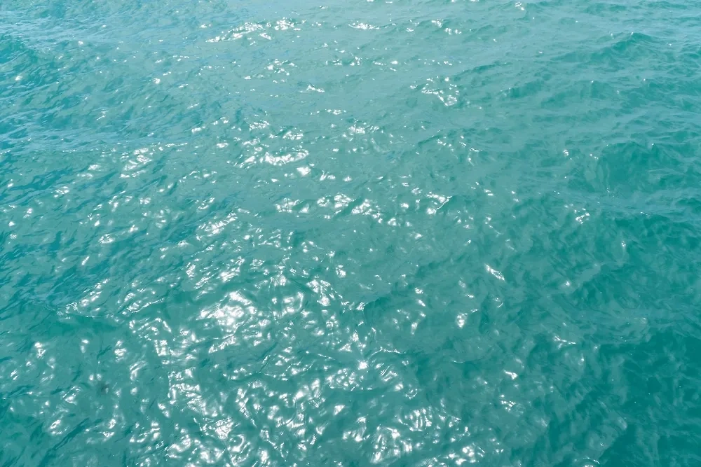 Морская вода может вызвать различные болезни. Обложка © Shutterstock / FOTODOM / BigTunaOnline