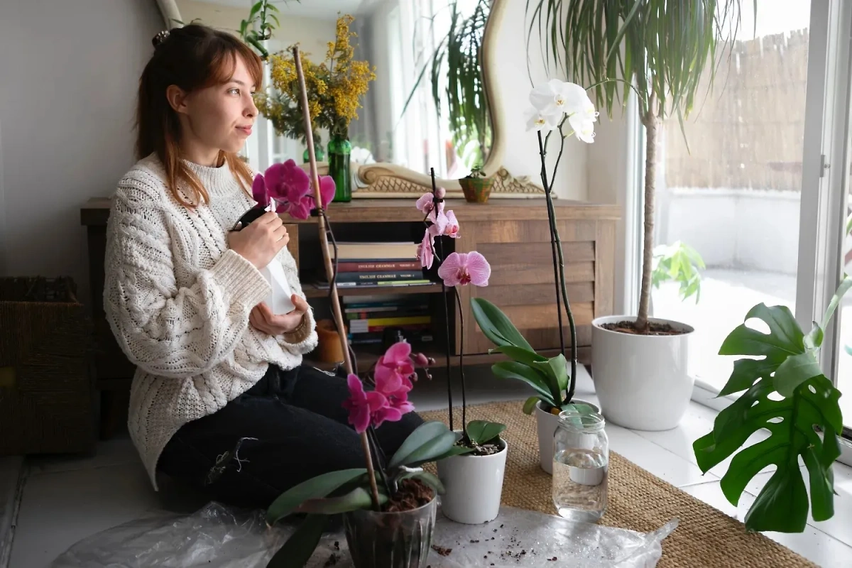 Пять причин, почему у вас дохнут комнатные растения. Фото © Freepik