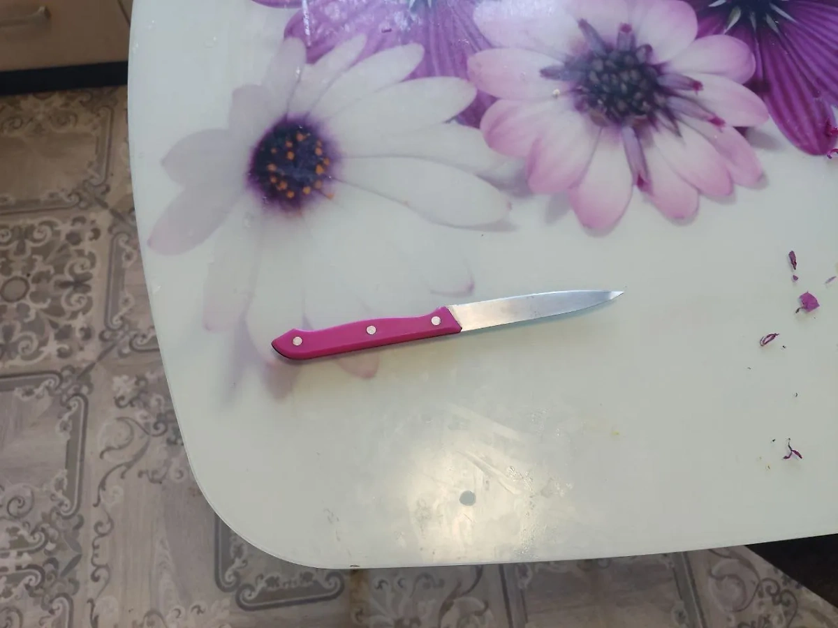 Нож, которым мать пыталась зарезать старшую дочь в Красноярском крае. Фото © Telegram / krksledkom
