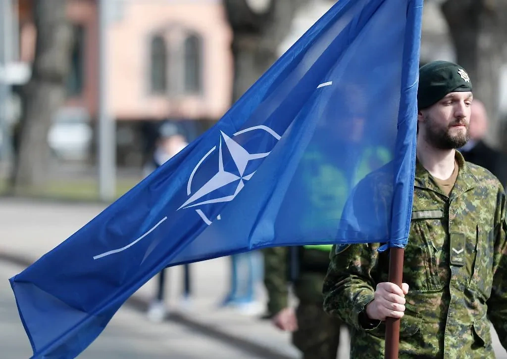 НАТО не собирается принимать Украину. Обложка © ТАСС / ЕРА