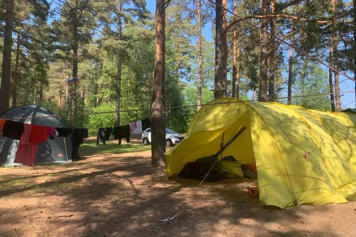 Кадр с места летнего лагеря, где девочка сорвалась со скалодрома. Фото © Telegram / Прокуратура Ленобласти