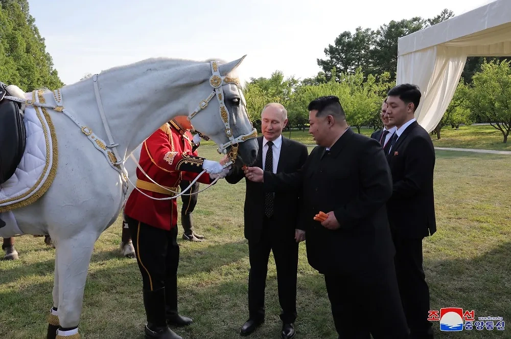 Президент России Владимир Путин и лидер КНДР Ким Чен Ын покормили белых рысаков в резиденции "Кымсусан". Обложка © ЦТАК