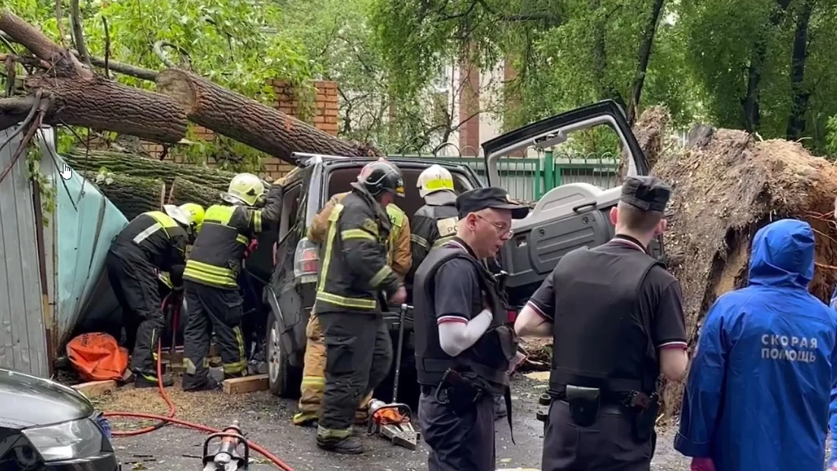 Дерево упало на машину с водителем внутри в Москве. Обложка © Life.ru