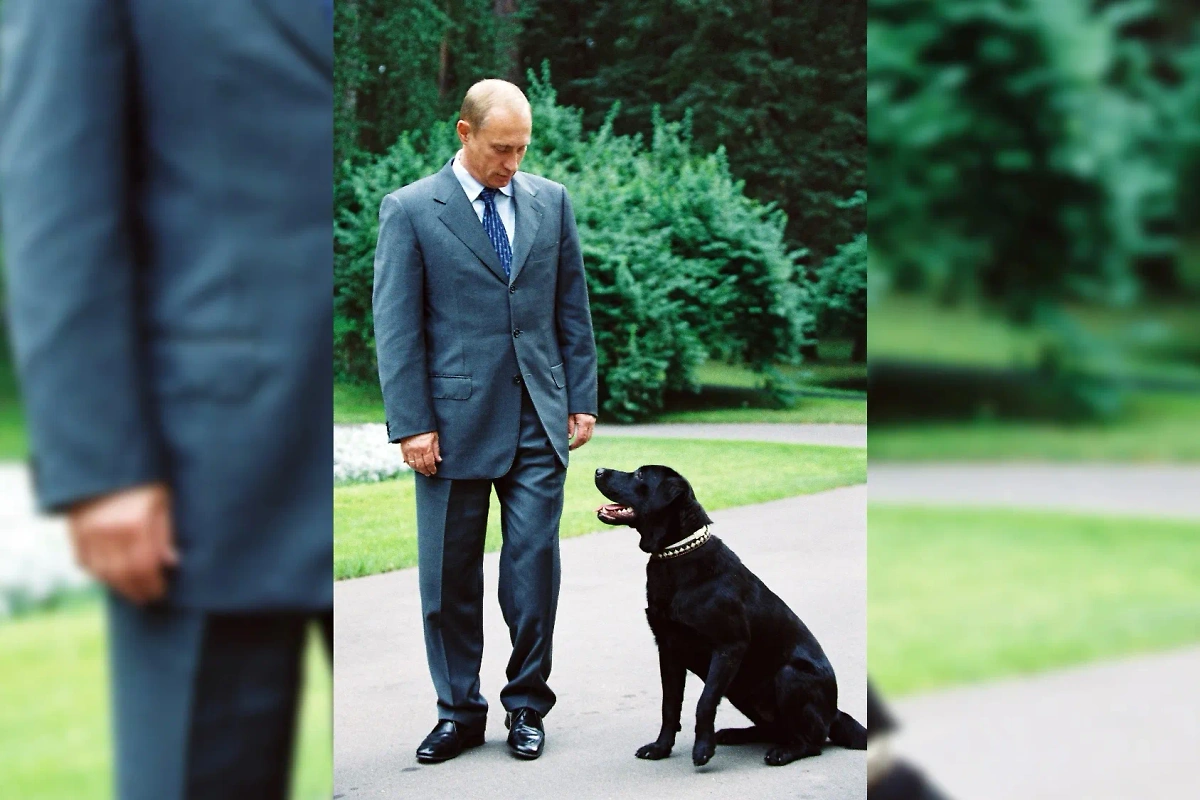 Собака Конни — первый четвероногий презент президенту. Фото © Wikipedia / Kremlin.ru