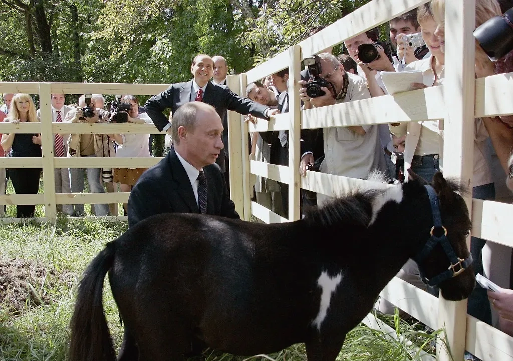 Путину вручили пони Чипа, который стал его любимчиком. Фото © ТАСС / Владимир Родионов