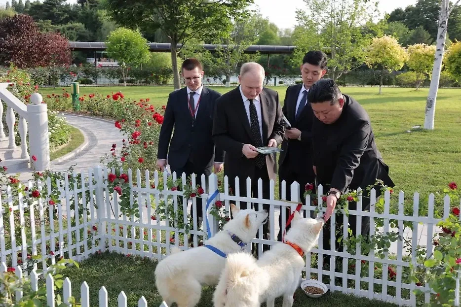Ким Чен Ын подарил Владимиру Путину собак редкой породы. Фото © kcna