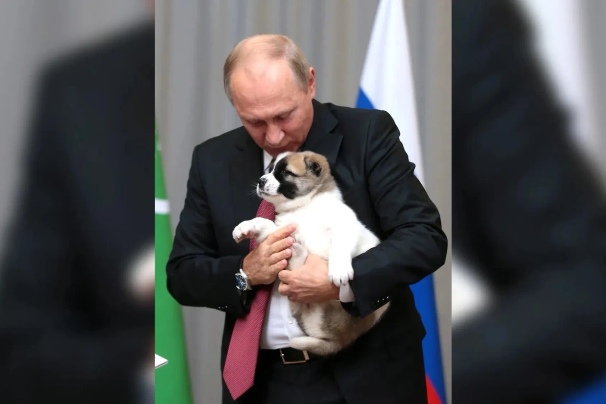 Владимир Путин с щенком на руках. Фото © Wikipedia / Kremlin.ru
