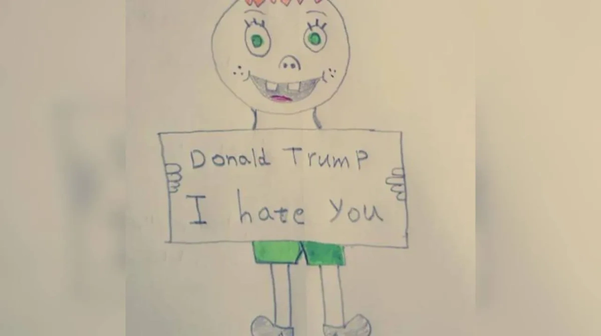 "Дональд Трамп, я тебя ненавижу". Фото © Reddit / Merlinfrost