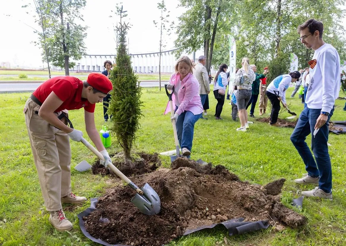 В Москве прошла акция "Сад памяти". Обложка © Telegram / Сад памяти