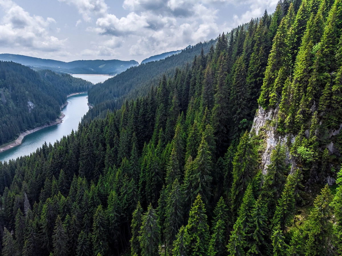 Алтай, Сибирь. Пейзаж с лесными горами. Обложка © Shutterstock / FOTODOM / Epic Vision  