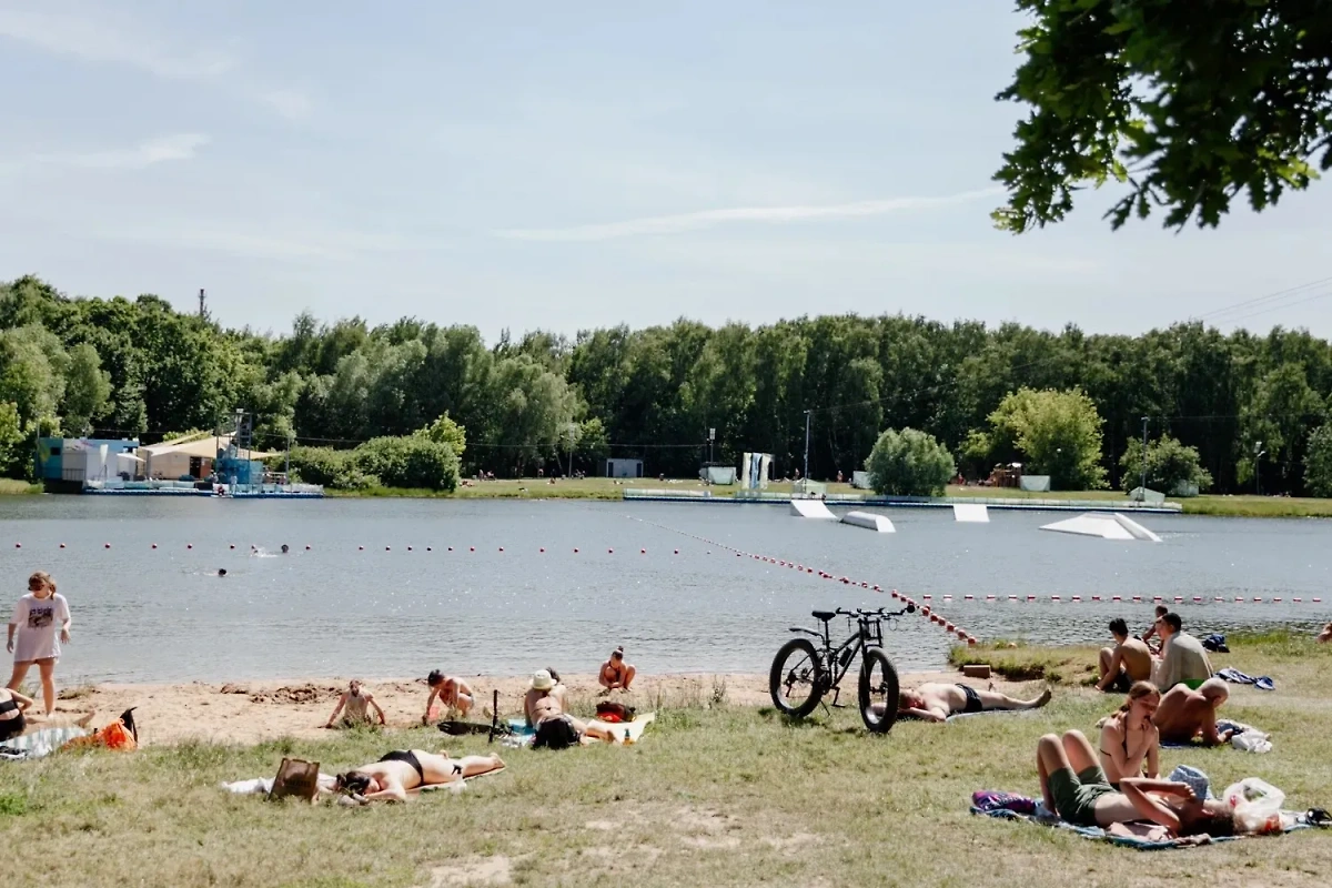 Место, где можно купаться в Москве, окружено лесом. Фото © VK / Парк Сокольники