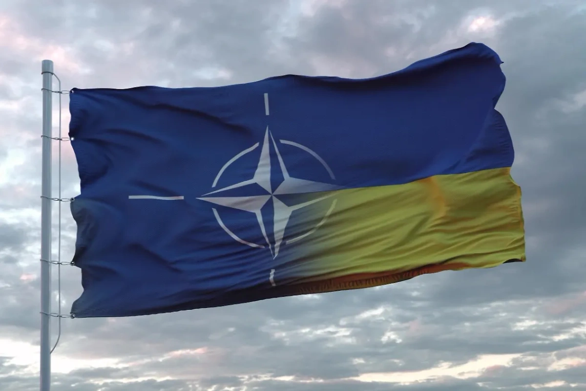 Надежды Украины на помощь НАТО в конфликте с Россией не оправдаются. Фото © Shutterstock / FOTODOM / Larich