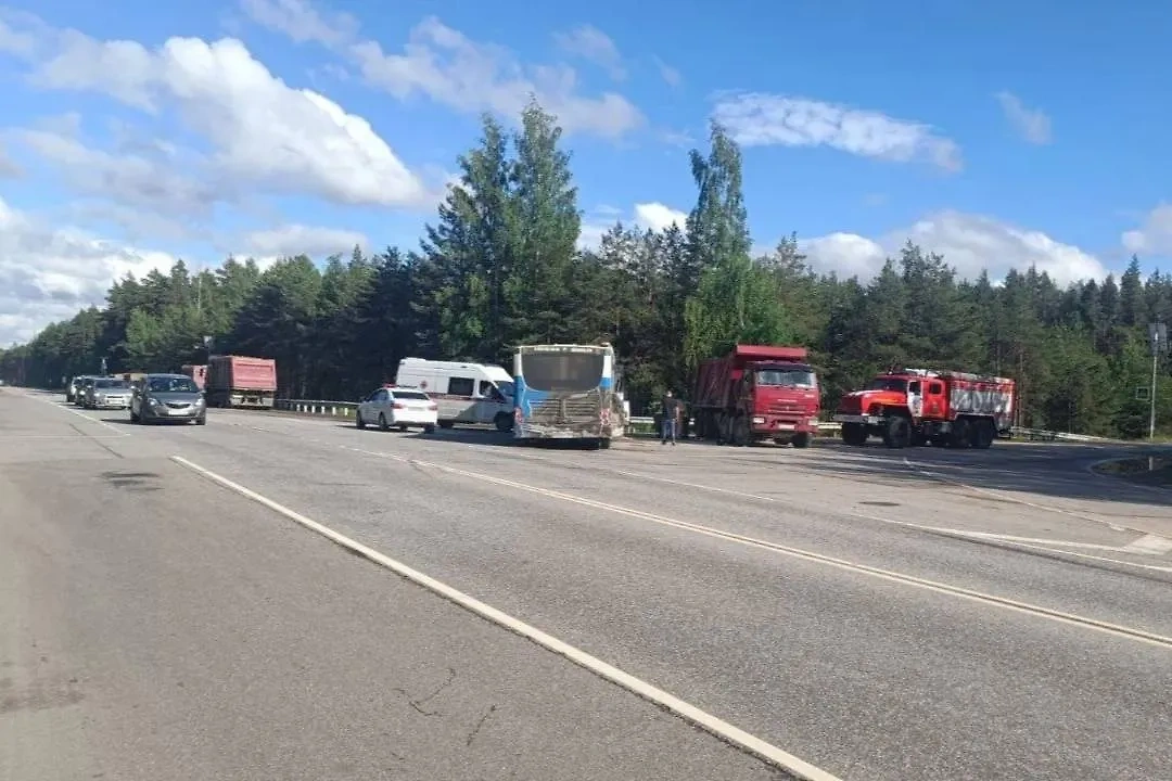 Фото с места ДТП с участием рейсового автобуса и КамАЗа под Петербургом. Фото © Telegram / Петербургская полиция