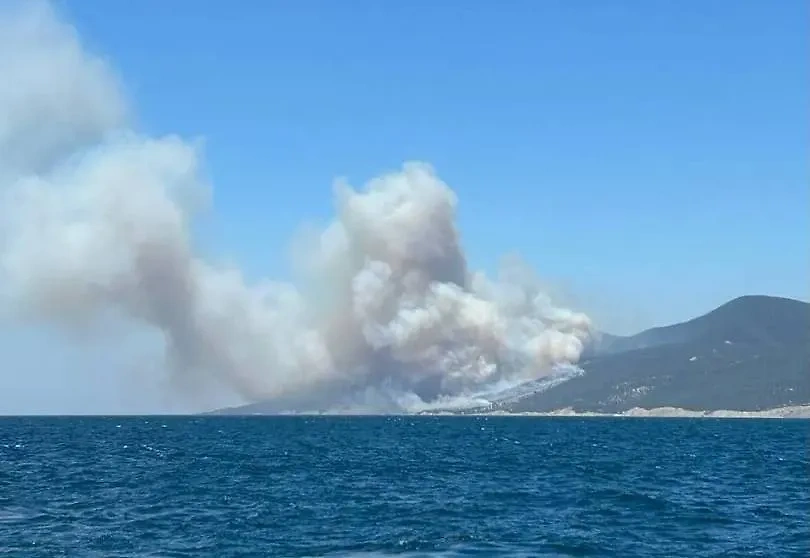 Лесной пожар в районе Абрау-Дюрсо, вид с Чёрного моря. Обложка © Telegram / "Анапа l ПВА ЧАТ"