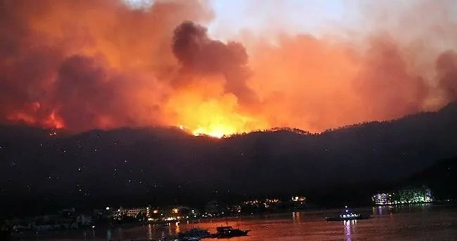 Сильнейший лесной пожар в турецком Измире. Обложка © Х / İzmir Hava Durumu