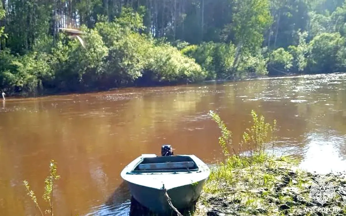 Ребёнка унесло течением в Томской области на глазах у сестры. Обложка © Telegram / МЧС России