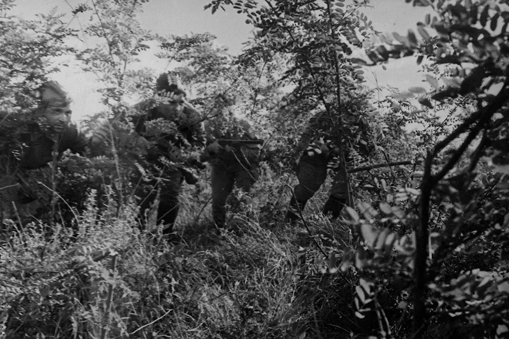 Летом 1942 года Кузнецова забросили в тыл к немцам под Ровно. Фото © ТАСС / Яков Халип