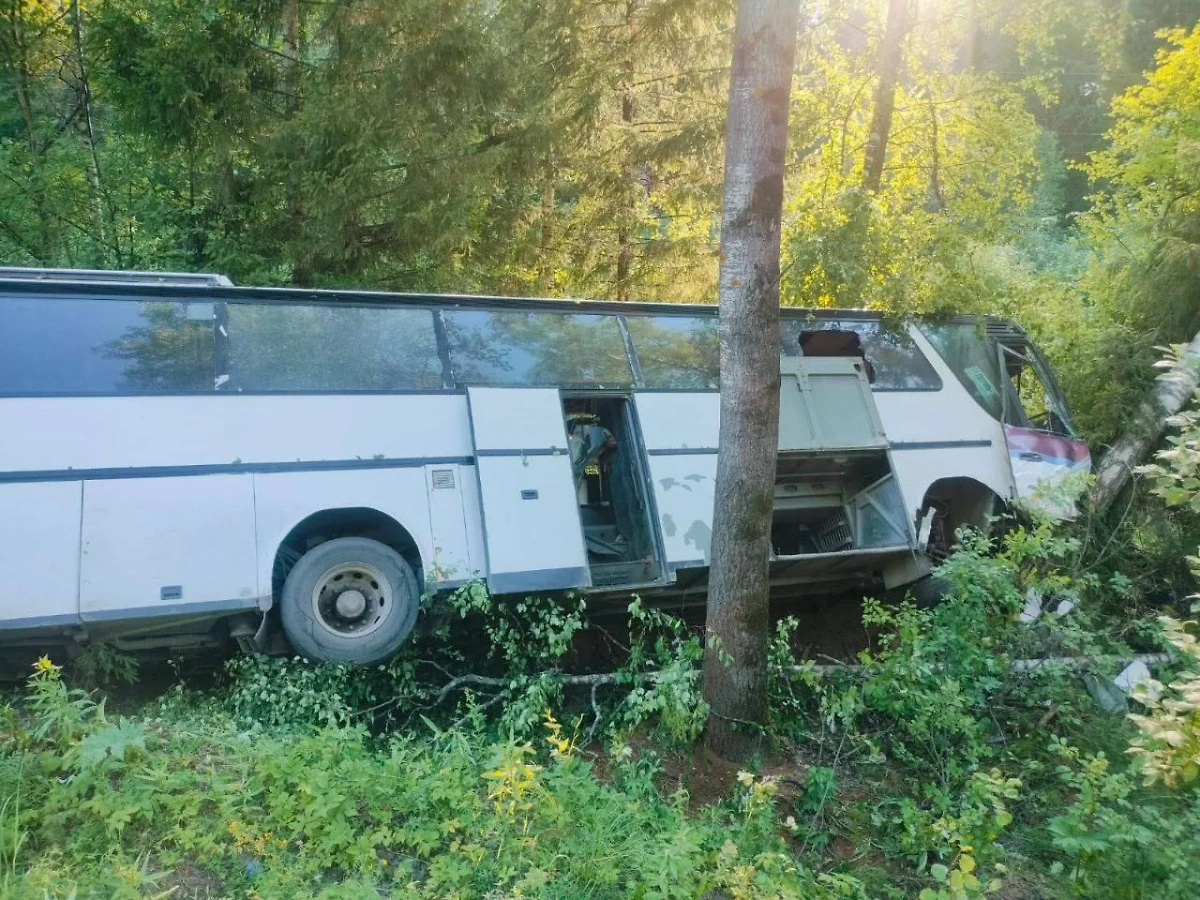 В Удмуртии произошло ДТП с автобусом, 2 человека погибли, 22 пострадали. Фото © Telegram/Ижевск с огоньком