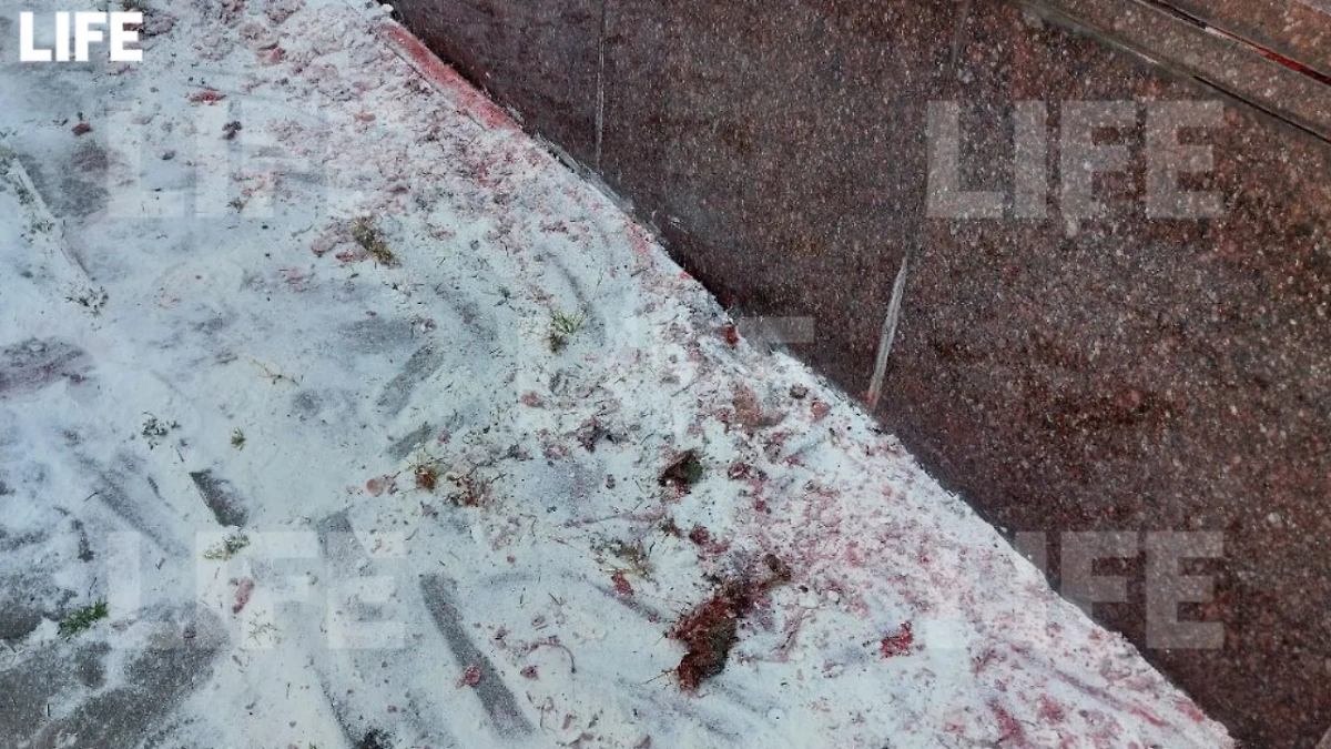 Неизвестные вандалы облили красной краской вход в посольство Чехии в Москве. Фото © Life.ru