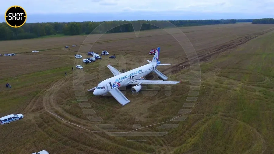 Место посадки Airbus A320 "Уральских авиалиний" под Новосибирском, 2023 год. Обложка © SHOT