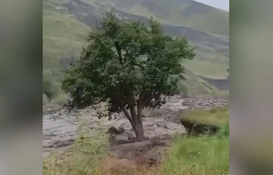 В Дагестане река вышла из берегов. Обложка © Telegram / SHOT