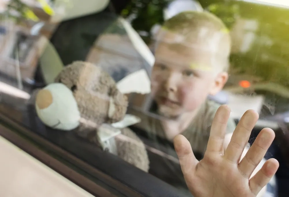 У детей или животных, которые оказались в закрытом автомобиле на жаре, есть считаные минуты на выживание. Обложка © Shutterstock / FOTODOM / Alona Siniehina