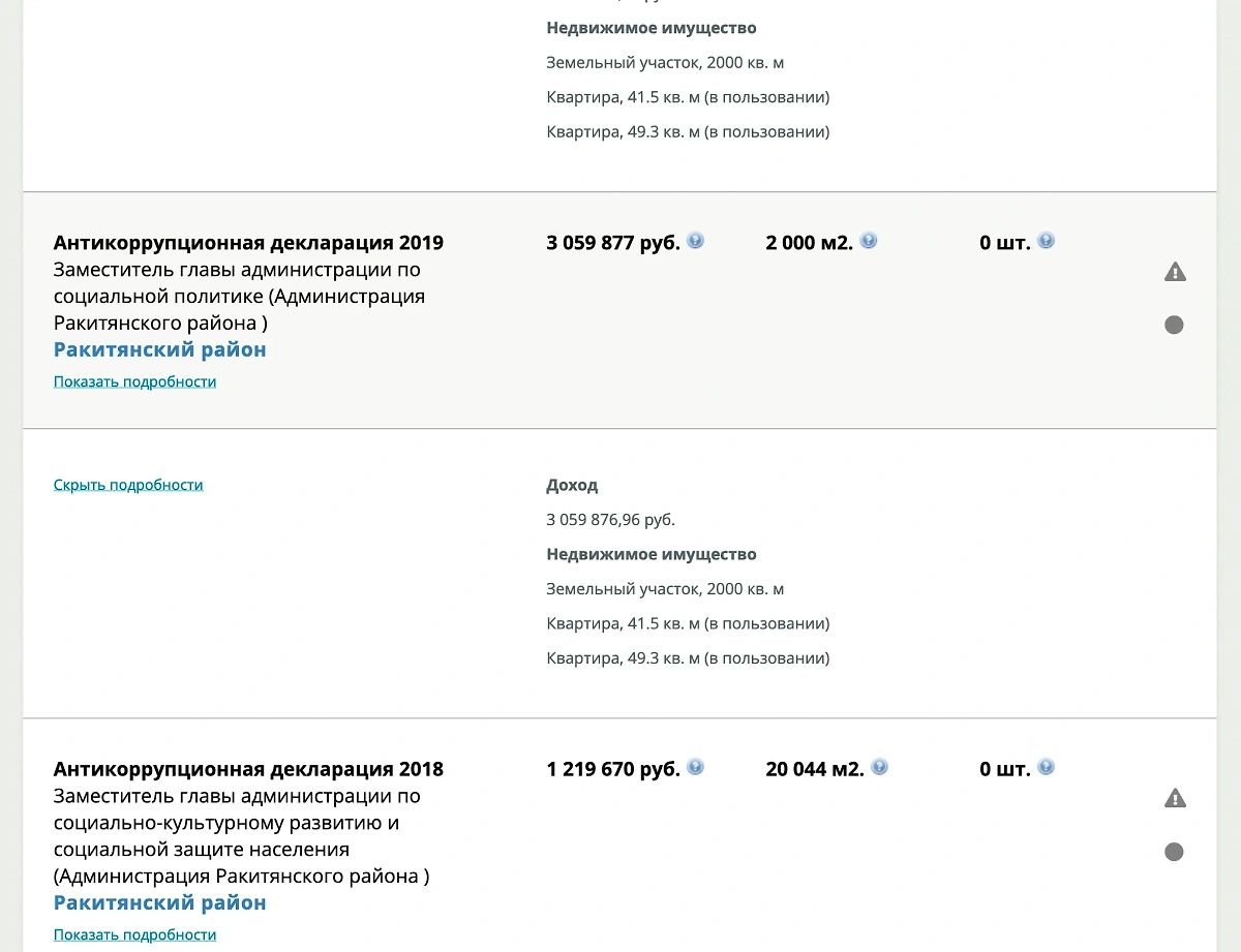 Так выглядели декларации Чефоновой в 2018–2019 годах. https://declarator.org/person/1298697/