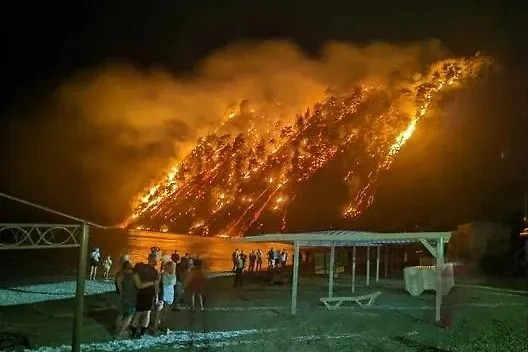 Площадь пожара в бухте Инал на Кубани растёт, ближайшие базы отдыха эвакуируют. Обложка © Telegram / Новороссийск онлайн
